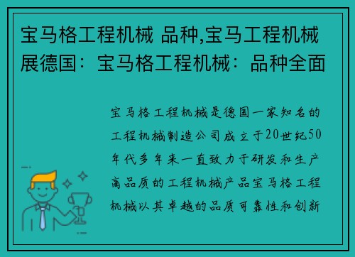 宝马格工程机械 品种,宝马工程机械展德国:宝马格工程机械:品种全面解析 宝马格工程机械 品种,宝马工程机械展德国:宝马格工程机械:品种全面解析